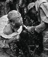 像塔拉瓦,佩里琉,硫磺岛这些血腥战场,想抓个日军俘虏简直难169_200