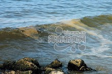 海南岛有多少人口_海南,真想不到你数学这么厉害(3)