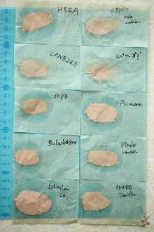 【<em>久久妹妹</em>】十款韩国气垫粉底测评【12】-新