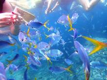 伟德bv1946官网-校长奖章获得者｜李玉晗：推石上山的过程本身就是意义所在