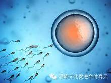 10年拍摄<em>下女</em>人身体里神奇的照片,看后被震撼