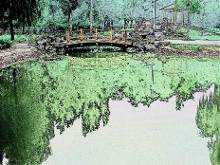 蜡笔画_成人蜡笔画海绵宝宝_爱干净蜡笔画成人作品 ...