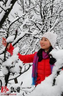 靖州:红妆素裹看排林妖娆雪景(图)