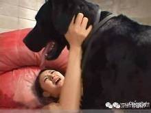 浙江嘉兴<em>女子与狗</em>性交2天拔不出