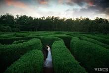 征服<em>处女</em>座的婚纱照啥<em>样的</em>?【1】-新闻频道-手