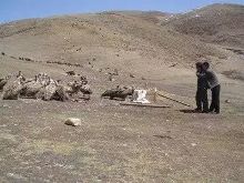 一位<em>女性</em>去西藏看<em>天葬</em>后写的感言【8】-新闻频