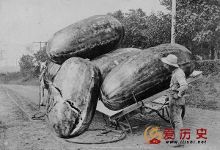 人有多大胆地有多高产 国外老照片里的那些浮夸“高产”照-自媒体频道-手机搜狐