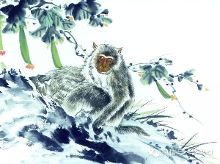 属猴和<em>属鸡</em>2015年的<em>运势</em>【1】-自媒体频道-手