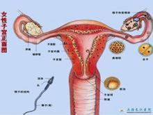 上海女性常规妇科检查有哪些项目?【15】-新闻