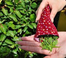 茶园惊现坟墓采茶妹难寻 更别说C罩杯<em>处女</em>口唇