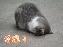 满哥 男子一次<em>交</em>17个<em>女朋友</em>,且对方都不知情!【