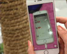 清华毕业生送多位老师<em>情趣用品</em> 在场<em>女生</em>居然