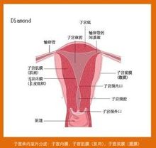 北京不孕不育专家讲解<em>女人子宫</em>内膜炎的临床症