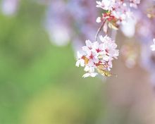 不看不知道! 哪个星座男生最疼爱你【1】-新闻