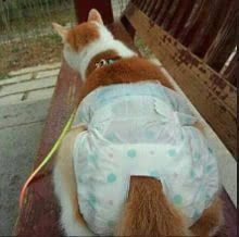 狐诌779季-晚上约<em>妹子啪啪</em>啪【3】-新闻频道-