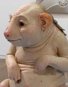 震惊!广州惊现一窝猪人!