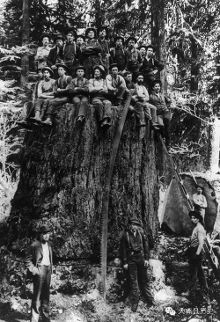 美国为什么强大 因为他们的牌太好了【2】-新