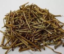 每日一方|大续命汤【疏风通声方】-新闻频道-手