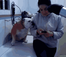 爆笑gif:这是你说了意见,老婆也不采纳的表情!【1】