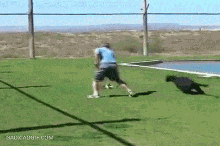 羊骑马gif动态图片,咩星人这是要逆天了-笑话频道