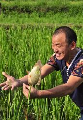 七仙岭鹤川温泉酒店:有一种续住,叫免费!