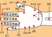 最全人体<em>穴道</em>图,有空自己捏捏吧,心肝脾肺肾都