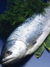 13种常见食用鱼的营养价值