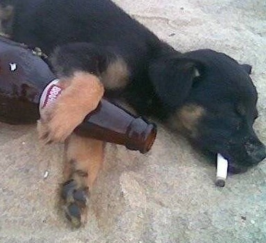  秋天是用来分手的季节 