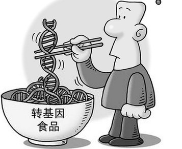 热辣评:转基因没害?专家先吃