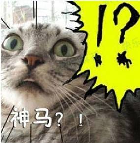 奶茶妹妹_奶茶博士月收入(2)