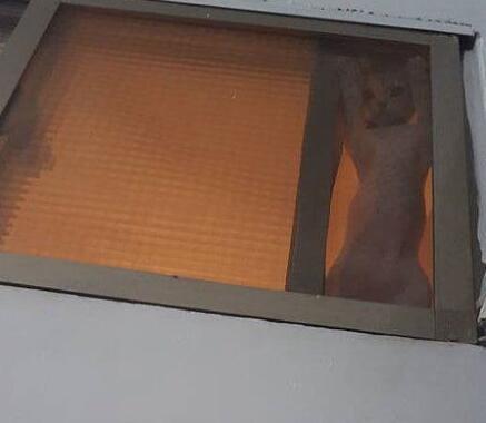 狐诌1190季：媳妇被我收拾的很乖巧