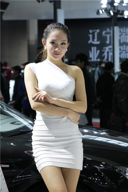 2013沈阳车展女神级车模集锦