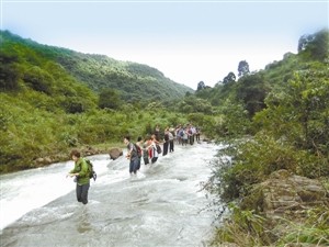 中国女子在泰国坠崖事情