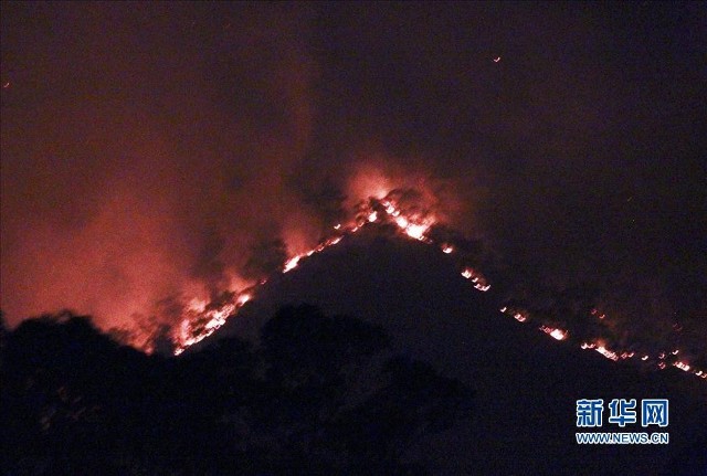 澳大利亚悉尼附近发生严重山火