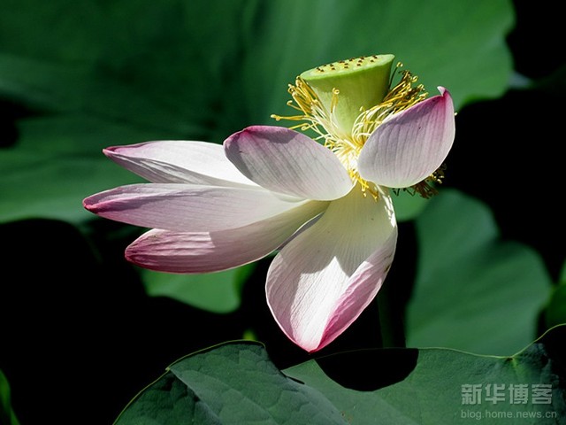 a1n8r72146540067340.jpg