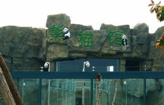 9月21日记者从相关渠道获悉,天津市光合谷动物园向林业部申请租借的