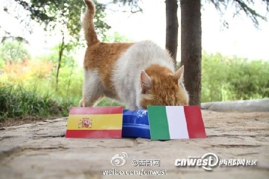 南宫28官网- 南宫28官方网站- 南宫28APP下载史上最大IPO来了！SpaceX募资或高达800亿美元