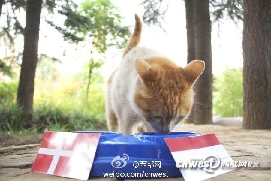 南宫28官网- 南宫28官方网站- 南宫28APP下载玩彩高手]福彩3d19083期预测：中区双胆36