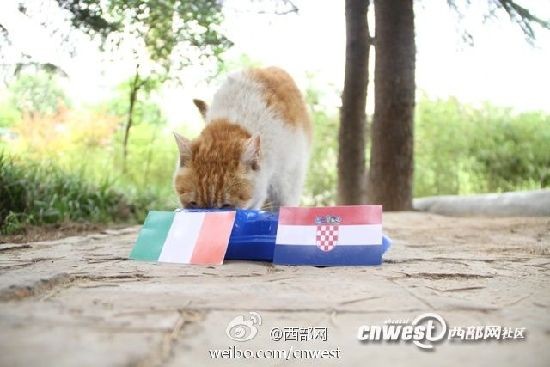 南宫28官网- 南宫28官方网站- 南宫28APP下载金信诺8552万收购常州安泰诺35%股权