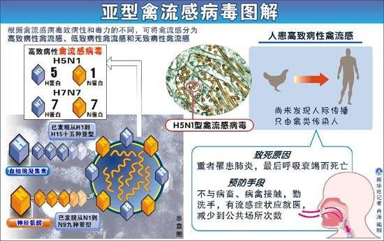 源头人口_黄河源头图片(2)