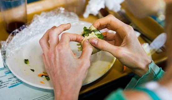 厌食症人口_厌食症患者图片(2)
