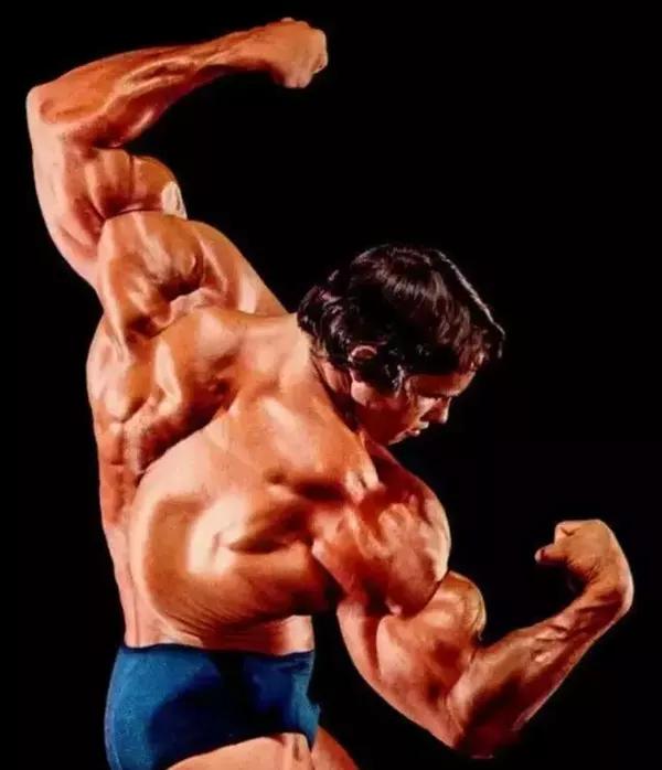 施瓦辛格巅峰图片