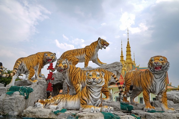 吉林夜与昼:我的家在东北松花江上