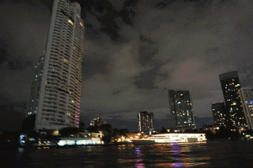 我真的对脱单无感了,我只想发财-新闻频道-手机搜狐