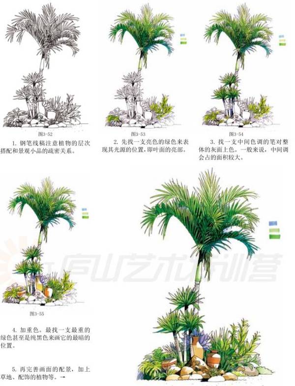 小景表现步骤图:这是一组经典的组合表现图,乔木,灌木,草本,植被的