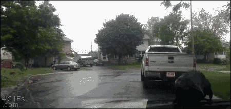 搞笑gif:这哥们的表情简直是太到位了!