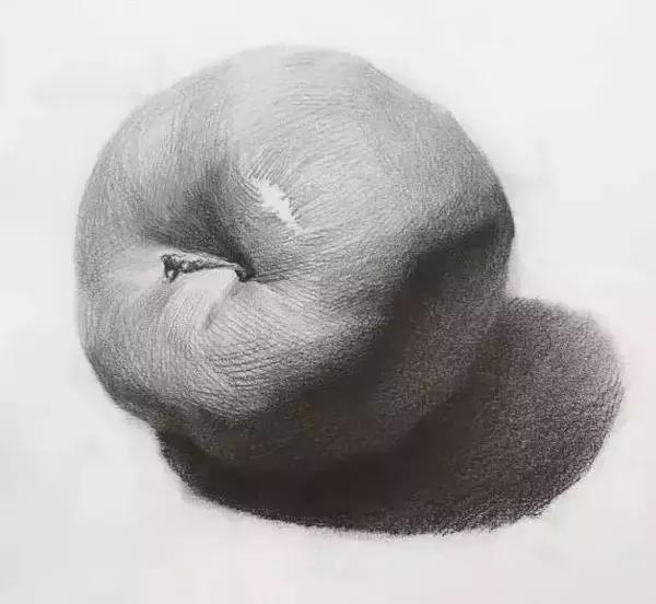 超全的素描静物单体素材，水果类、蔬菜类都有了!