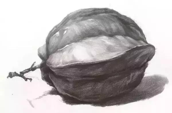 超全的素描静物单体素材，水果类、蔬菜类都有了!