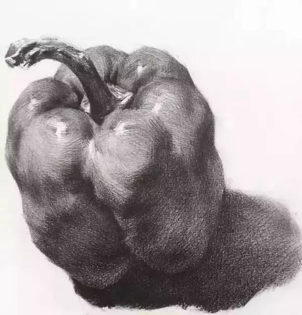 超全的素描静物单体素材，水果类、蔬菜类都有了!