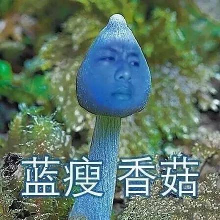 为什么觉得香菇味很恶心 a53k010204991428855.jpeg